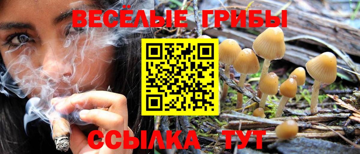Тулун  Галлюциногенные грибы GOLDEN TEACHER  Вход с VPN  Галлюциногенные грибы мухоморы 